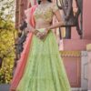 Liril Green Net Lehenga Choli